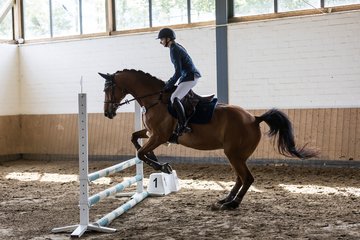 Bild 60 - Pony Akademie Turnier